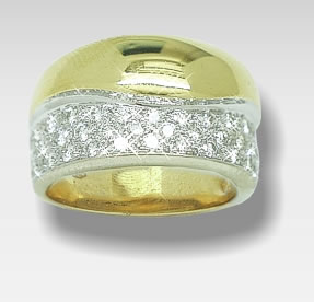 Bijnens ring 40